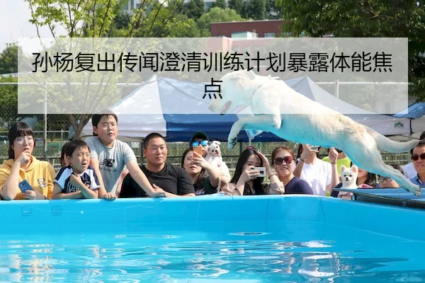 孙杨复出传闻澄清训练计划暴露体能焦点